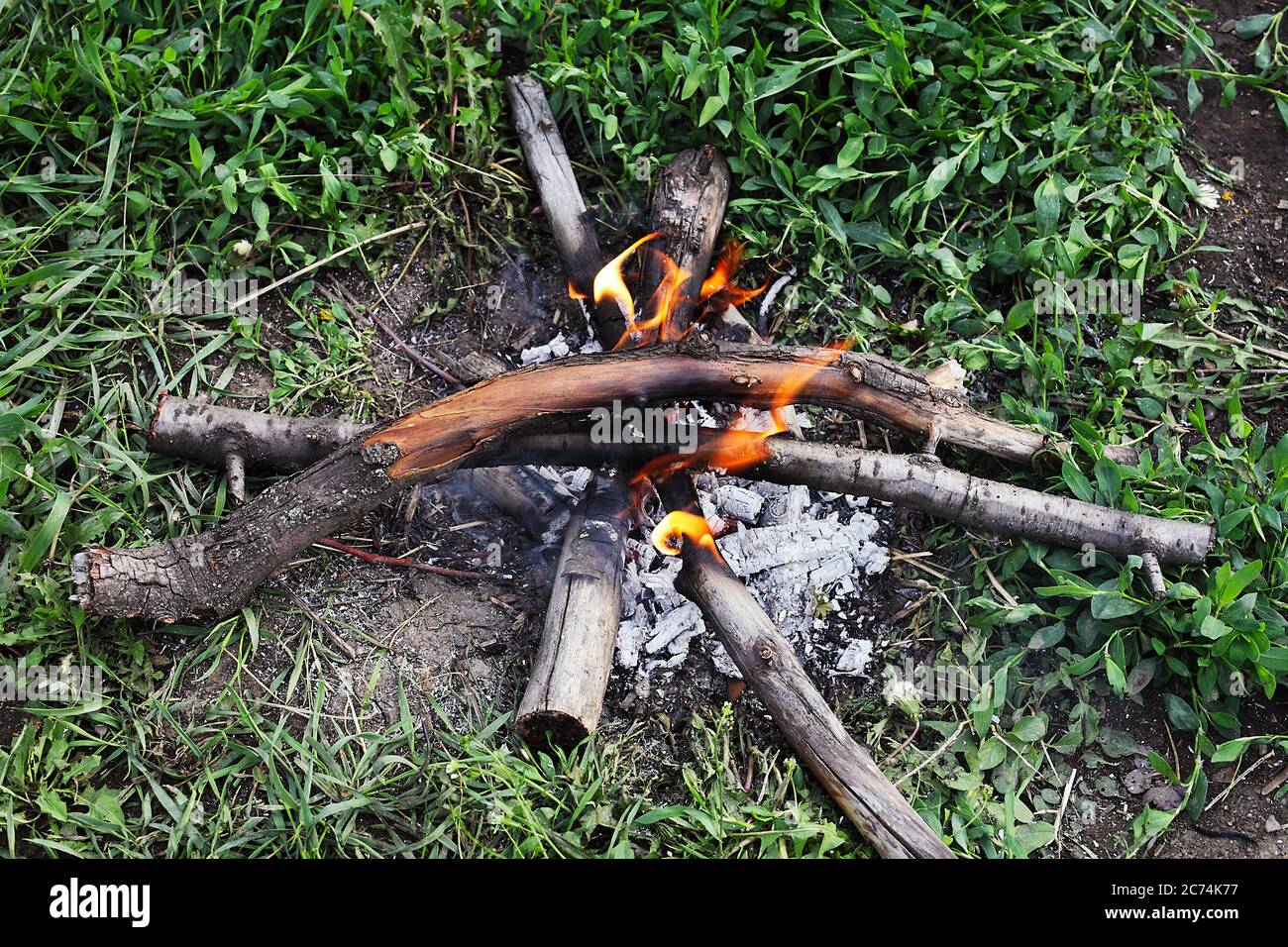fuoco di fuoco brucia sul terreno in una foresta in un prato Foto Stock