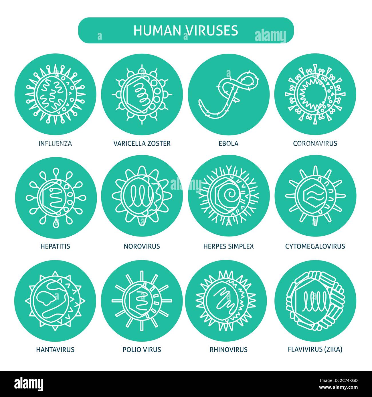 Set di icone dei tipi di virus umani. Raccolta di simboli di microrganismi infettivi in stile linea. Illustrazione vettoriale. Illustrazione Vettoriale