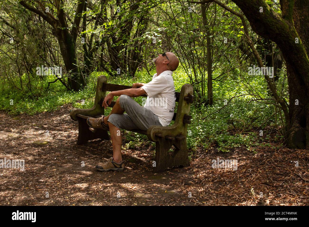 Uomo anziano seduto su una panca in un parco e guardando gli uccelli Foto Stock