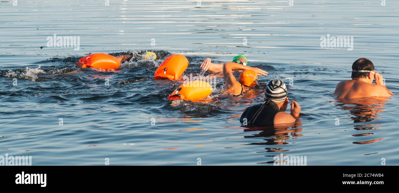 Un gruppo di nuotatori maschili e femminili con galleggianti d'arancia che iniziano una nuotata di 5K per beneficenza nel Long Island Sound. Foto Stock
