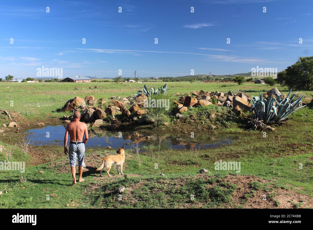 L'uomo più anziano e il suo cane in paesaggio africano Foto Stock