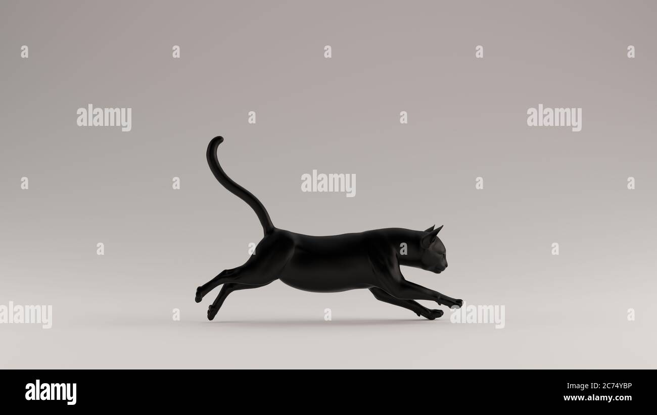 Black Cat posa 3D Foto Stock