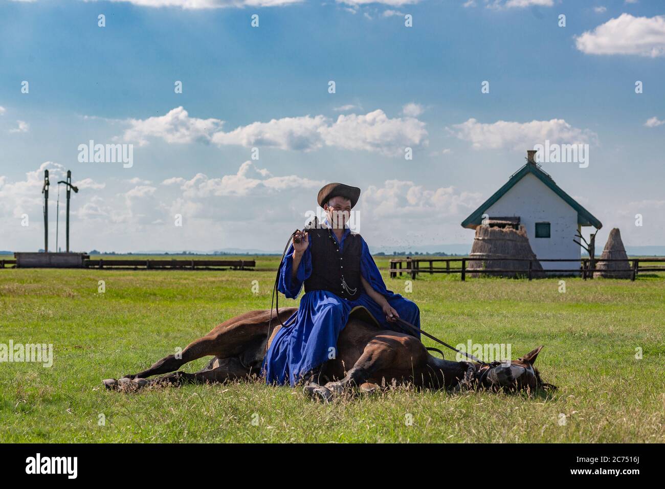 Il tradizionale wrangler ungherese (cavaliere) della regione di Hortobagy dell'Ungheria orientale mostra la sua abile acrobazia di sdraiarsi il cavallo Foto Stock
