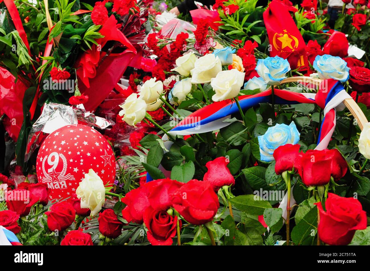 Fiori in rosso, bianco e blu della bandiera russa per la vittoria il 9 maggio. Foto Stock