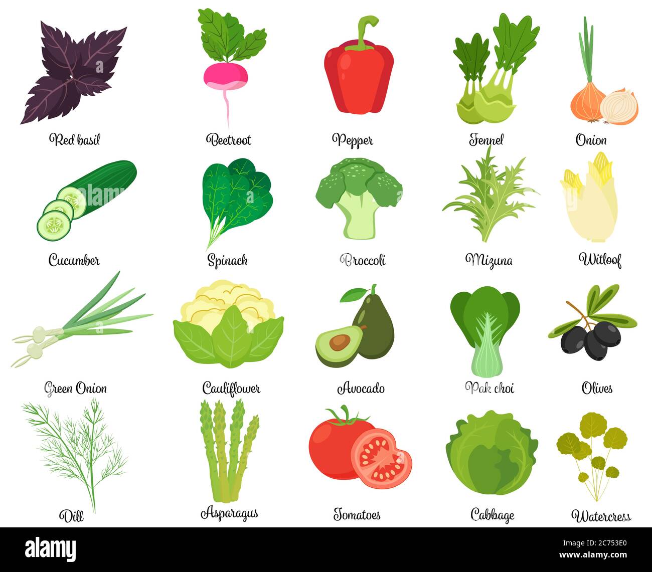 Set di erbe e verdure diverse isolate su bianco. Illustrazione Vettoriale