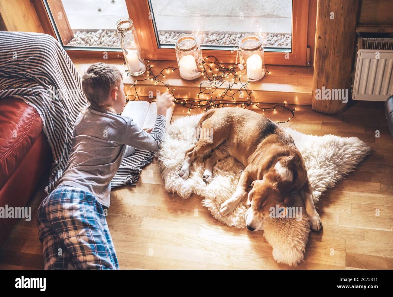 beagle cane scivolando su una pelle di pecora sul pavimento nell'atmosfera  accogliente casa con candele sul davanzale. Momenti tranquilli di  accogliente casa concetto immagine Foto stock - Alamy