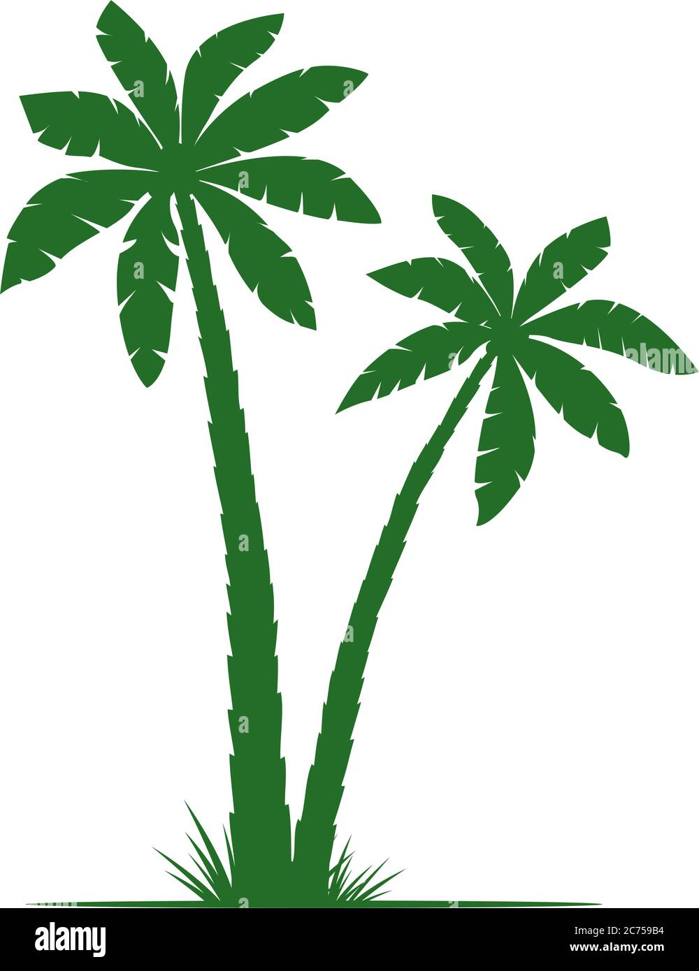 Palme verdi, silhouette vettoriale, isolate su sfondo bianco. Grafico vettoriale. Semplicemente pittogramma. Elemento floreale. Illustrazione Vettoriale