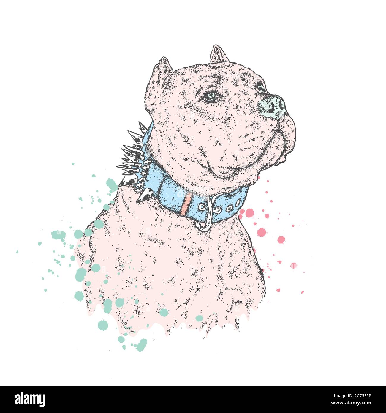 Un bel toro pit. Illustrazione vettoriale per una cartolina o un poster, stampa su abiti, una copertina o una borsa. Bulldog. Cucciolo di purebred. Cane. Illustrazione Vettoriale