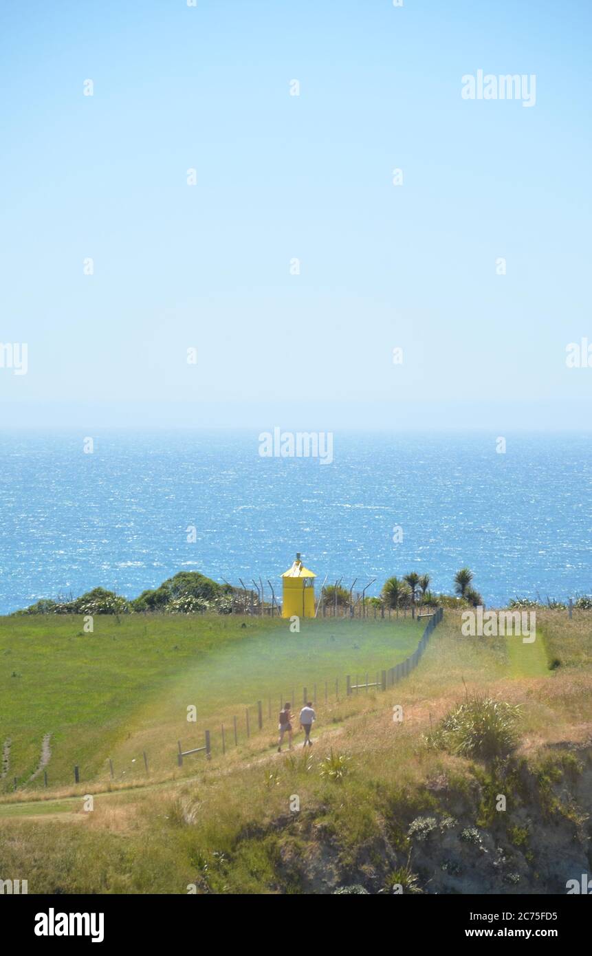 La pittoresca cittadina costiera di Kaikoura è il luogo perfetto per incontri di vita marina e passeggiate sulla costa. Foto Stock