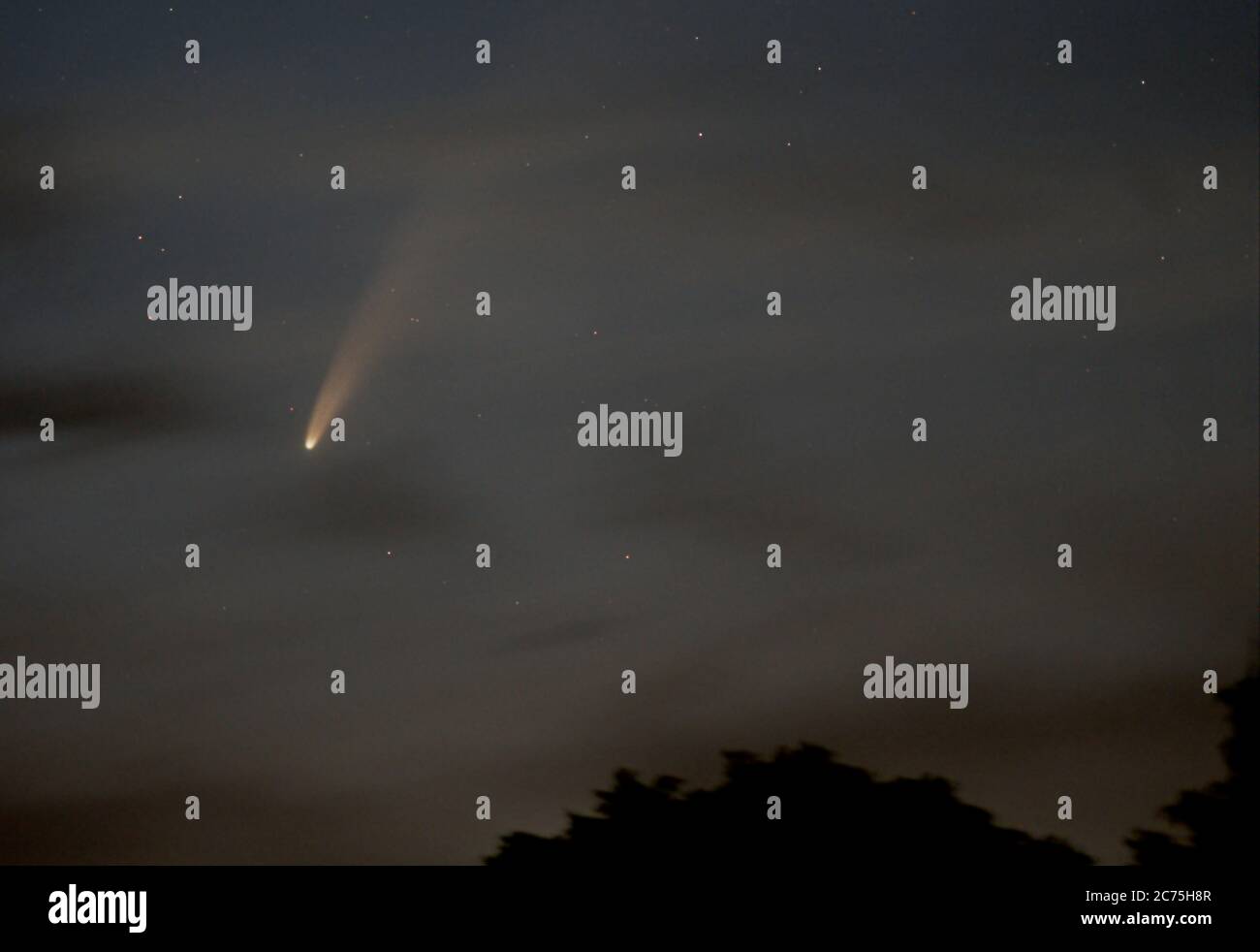 Comet C/2020 F3 NEOWISE si illumina di luce dietro le nuvole nella notte del 12 luglio 2020, con una lunga coda di polvere e un coma luminoso vicino all'orizzonte settentrionale. Foto Stock