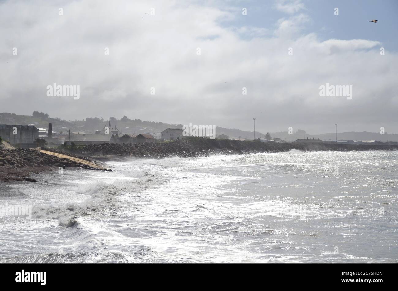 Oamaru è la città più grande del distretto di Waitaki; più famosa per la sua colonia di pinguini e l'architettura calcarea del distretto vittoriano. Foto Stock
