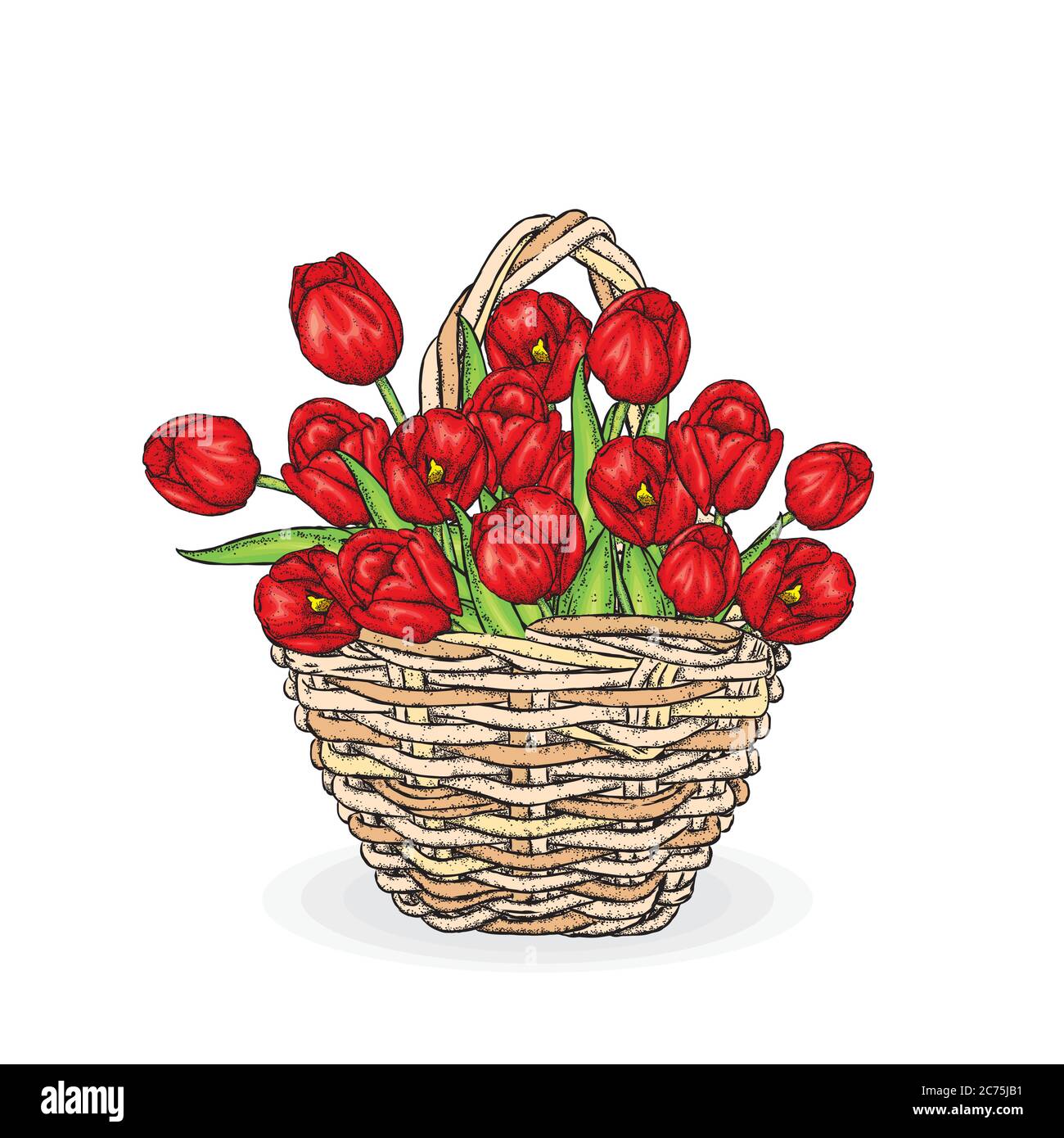 Banner floreale a molla disegnato a mano. Tulipano colorato. Benvenuti primavera. Illustrazione disegnata a mano. Buono per Pasqua, giorno della donna, biglietti d'auguri di San Valentino Illustrazione Vettoriale