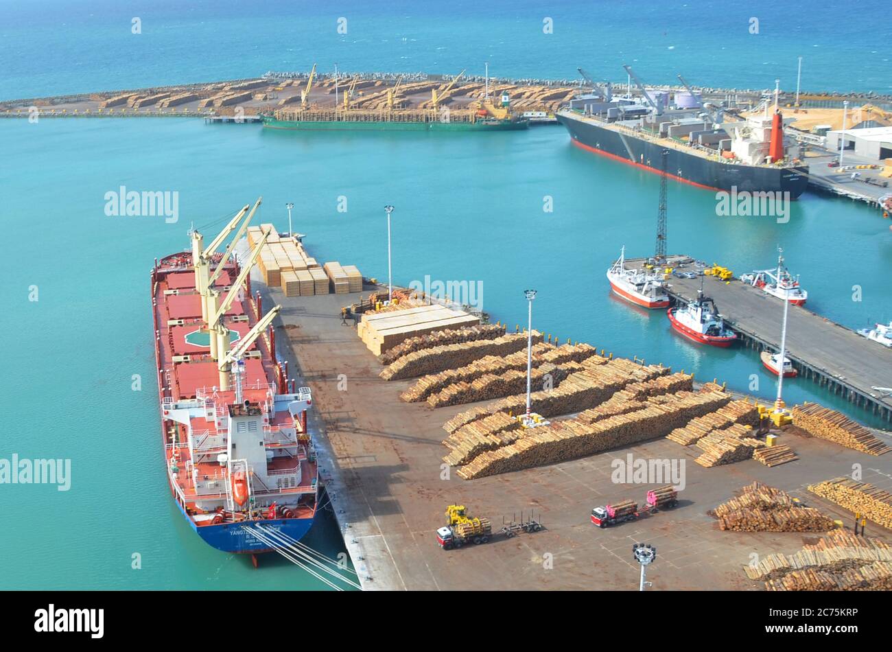 Percorso a piedi di Bluff Hill Guardate giù per il porto di Napier in una giornata di sole. Foto Stock