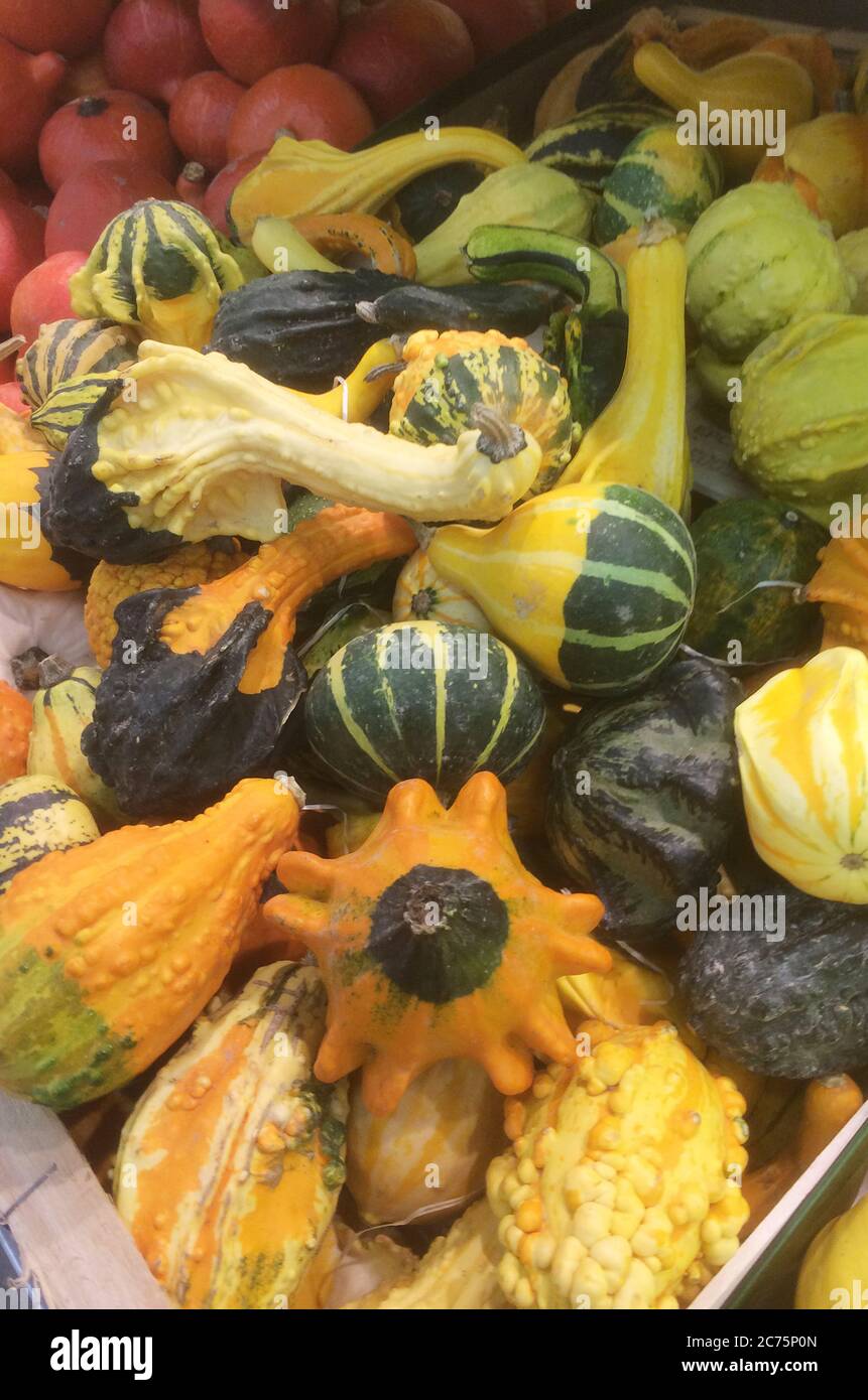 Vari tipi di zucche, zucca e verdure nel supermercato. Foto Stock