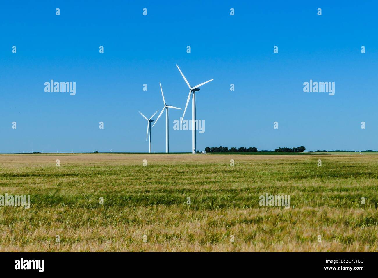 Maggio 31. 2020. Turbina eolica in fila in un campo in campagna. La struttura lavora con il vento per generare elettricità. Concetto di energia rinnovabile Foto Stock