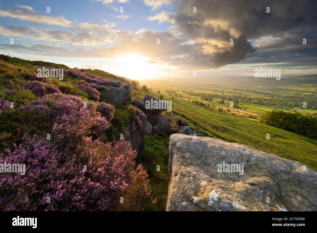 Luce dorata inonda il paesaggio estivo della fioritura heather e stagionato su gritstone Ilkley Moor vicino alla pietra Swatika a Woodhouse falesia. Foto Stock