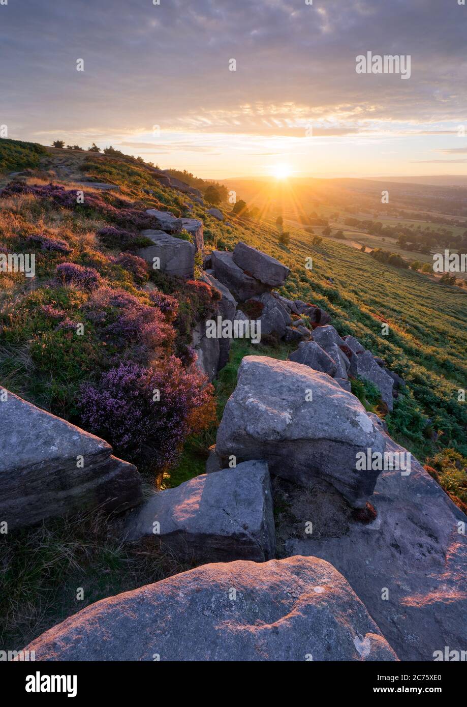 Luce dorata inonda il paesaggio estivo della fioritura heather e stagionato su gritstone Ilkley Moor vicino alla pietra Swatika a Woodhouse falesia. Foto Stock