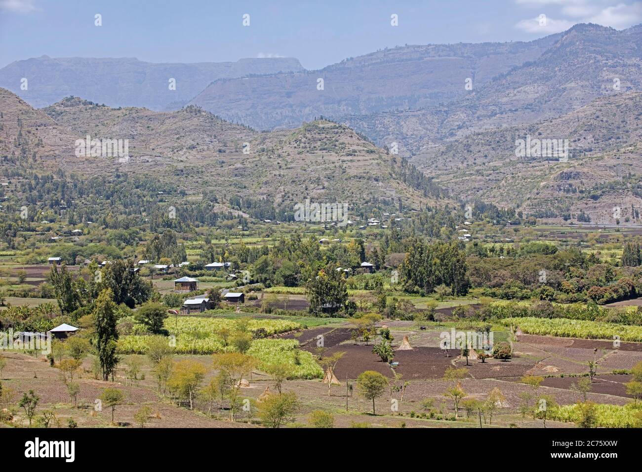Campi e agricoltura negli altopiani etiopi lungo la strada da Addis Abeba a Lalibela, Lasta Amhara Regione, Etiopia, Africa Foto Stock
