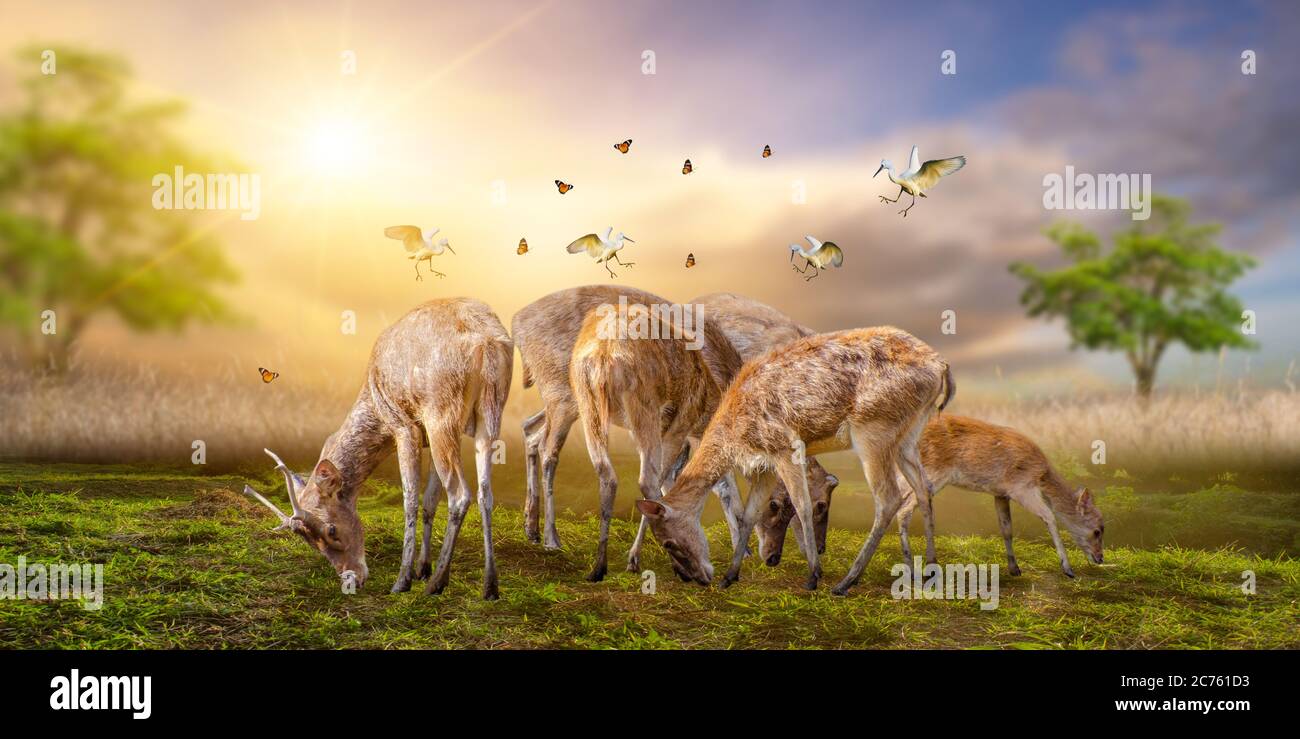 Grande gruppo di African Safari animali. Conservazione della fauna selvatica concept Foto Stock