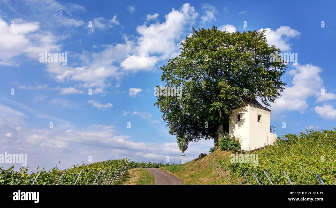 Cottage nel vigneto in Müllheim Foto Stock