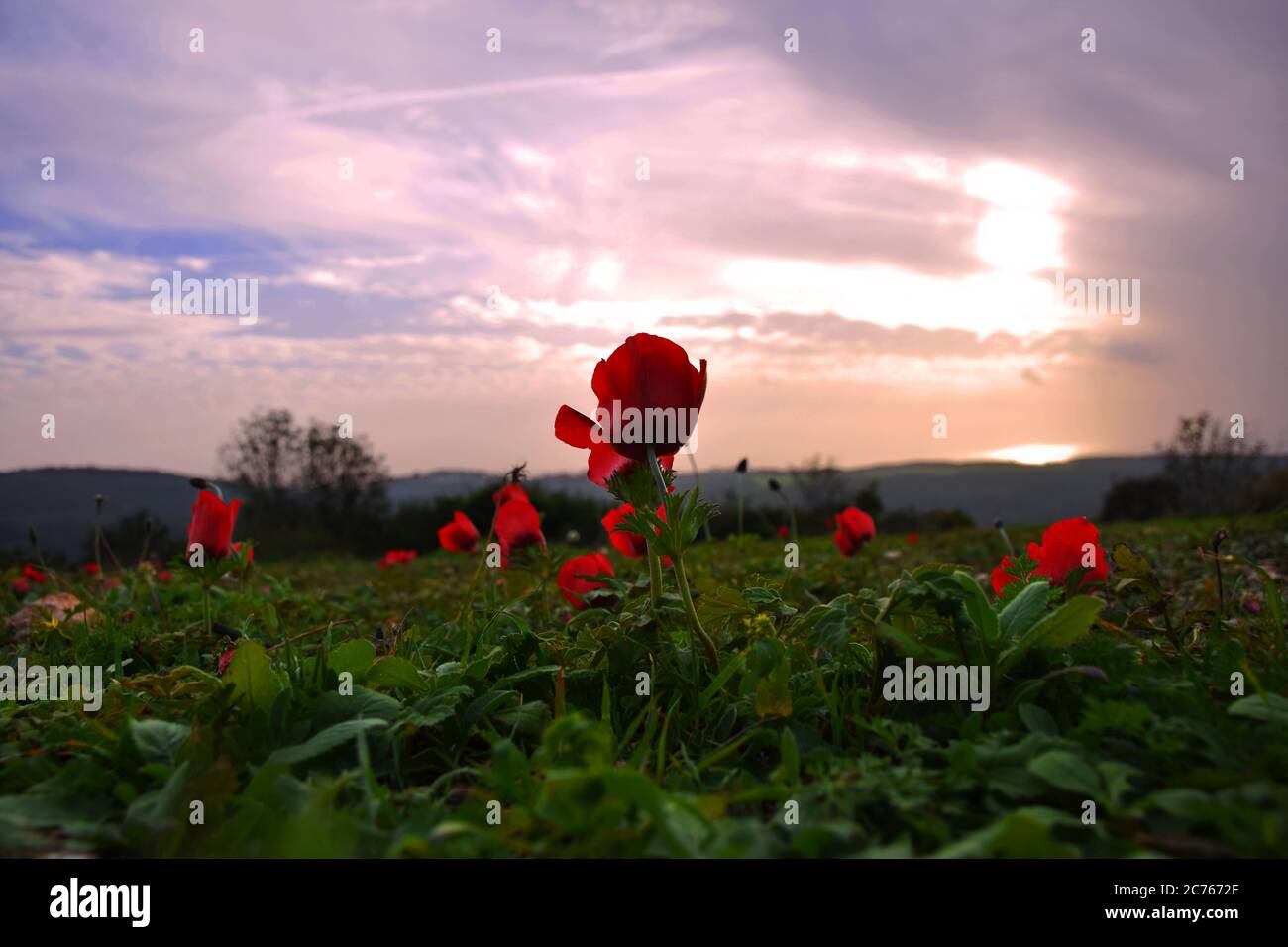 Israele - mantenere il Carmelo Foto Stock