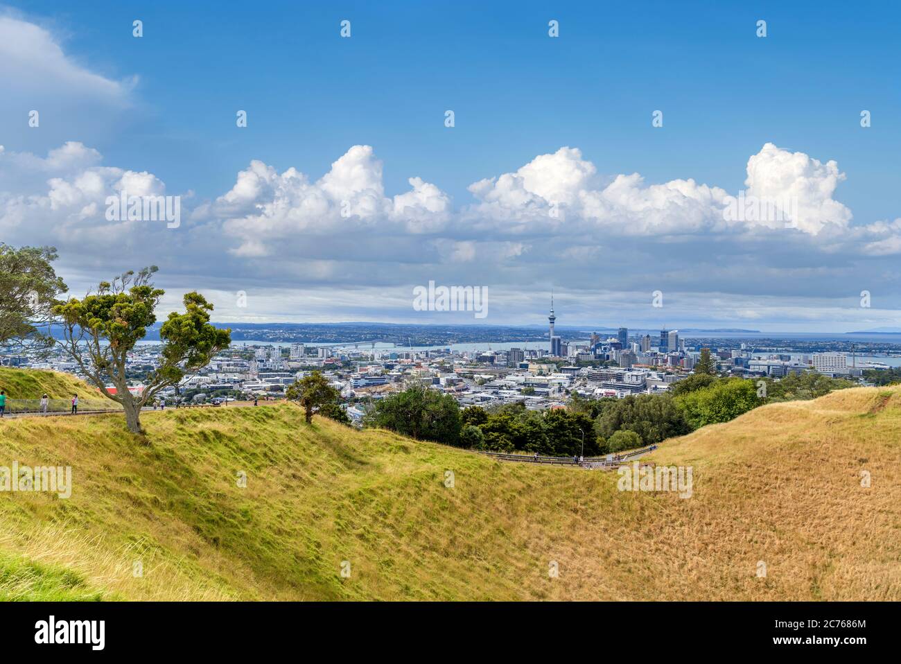 Skyline di Auckland dal cratere vulcanico del Monte Eden (Maungawhau), Auckland, Nuova Zelanda Foto Stock