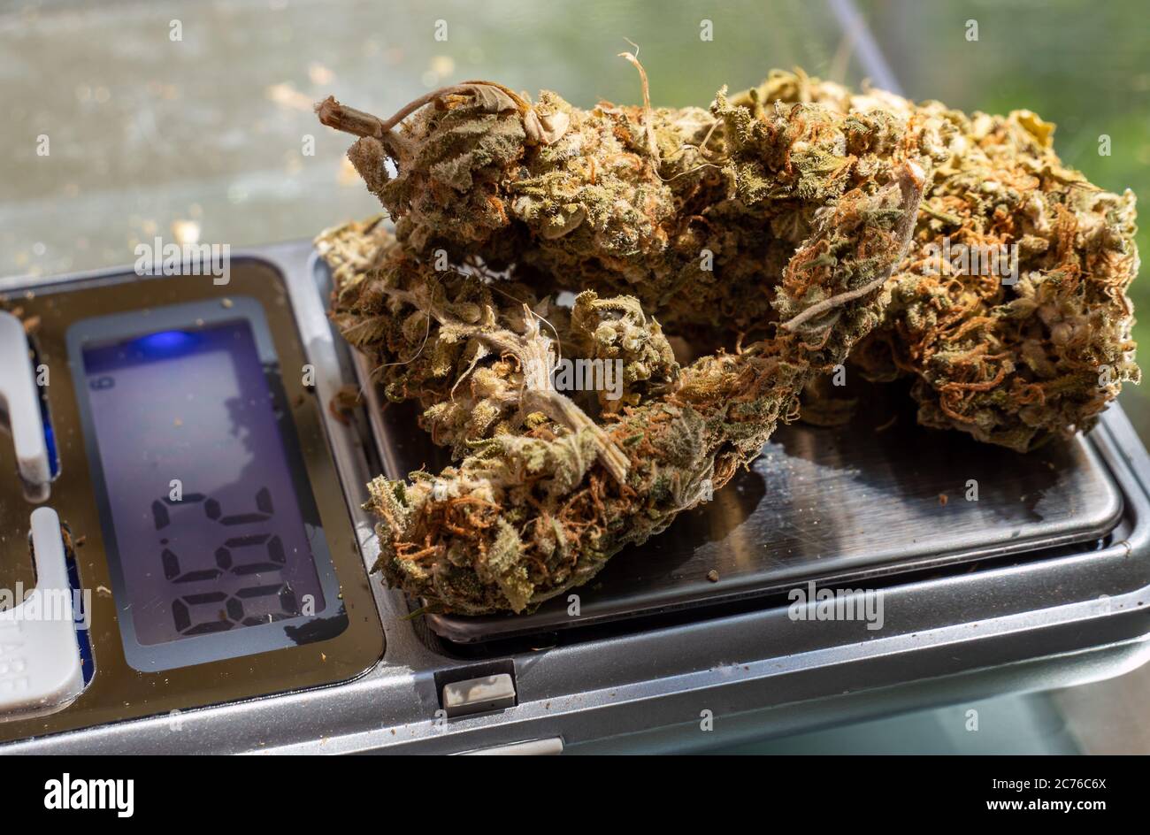 Bilancia con i commercianti di droga di cannabis Foto Stock
