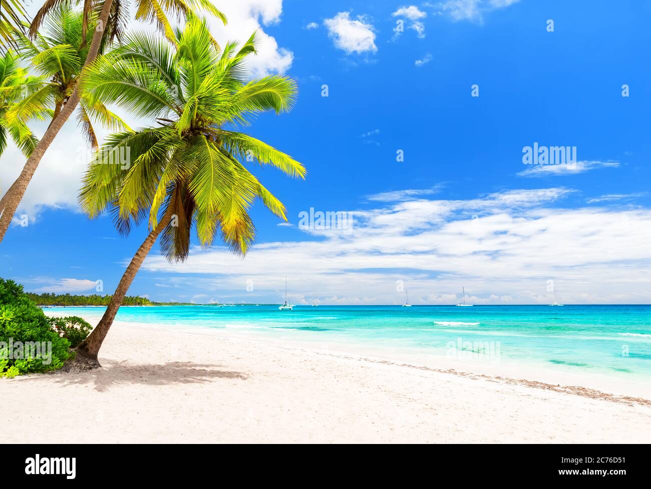 Palme da cocco sulla spiaggia di sabbia bianca nel Mar dei Caraibi, isola di Saona. Repubblica Dominicana. Concetto estivo di spiaggia. Foto Stock