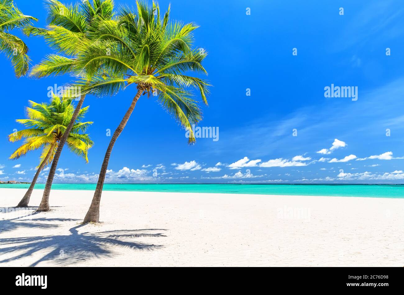 Palme da cocco sulla spiaggia di sabbia bianca nel Mar dei Caraibi, isola di Saona. Repubblica Dominicana. Concetto estivo di spiaggia. Foto Stock