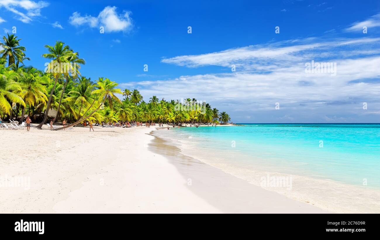 Palme da cocco contro il cielo blu e la bellissima spiaggia di Punta Cana, Repubblica Dominicana. Sfondo vacanze. Vista di un bel tropico Foto Stock