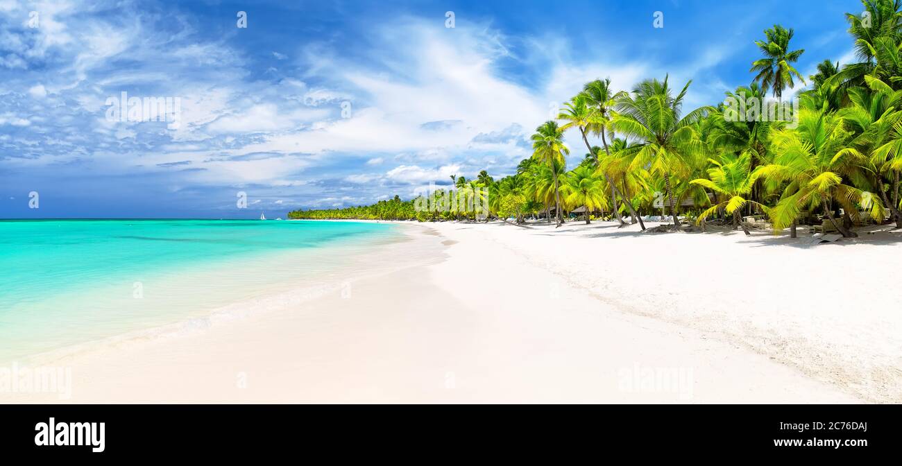 Palme da cocco sulla spiaggia di sabbia bianca nel Mar dei Caraibi, isola di Saona. Repubblica Dominicana. Concetto estivo di spiaggia. Foto Stock