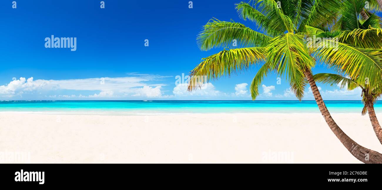 Palme da cocco contro il cielo blu e la bellissima spiaggia di Punta Cana, Repubblica Dominicana. Sfondo vacanze. Vista di un bel tropico Foto Stock