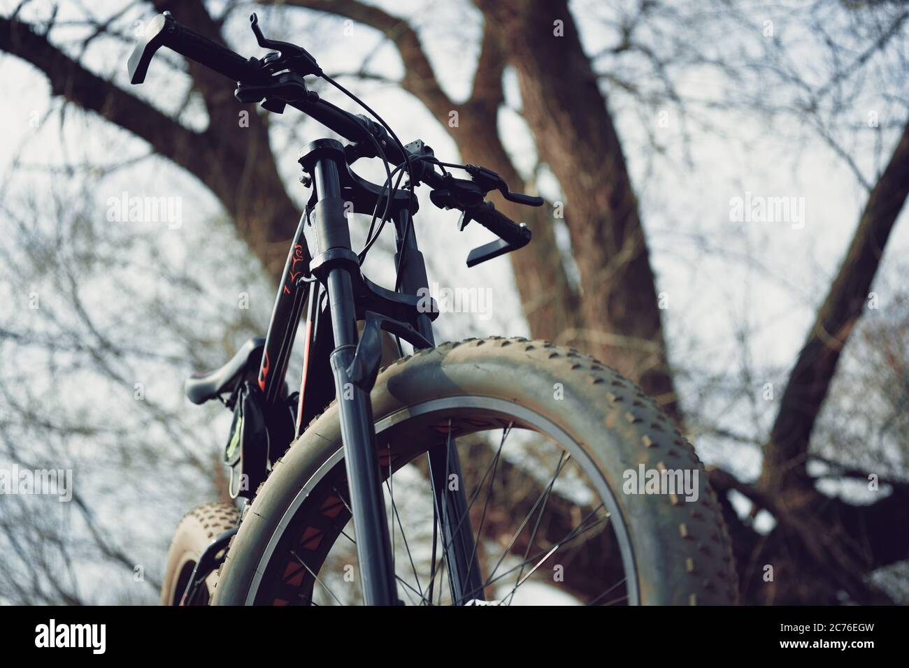 Primo piano di una bicicletta con grandi ruote in campagna. In condizioni di sole, la mountain bike si erge a terra. Foto Stock