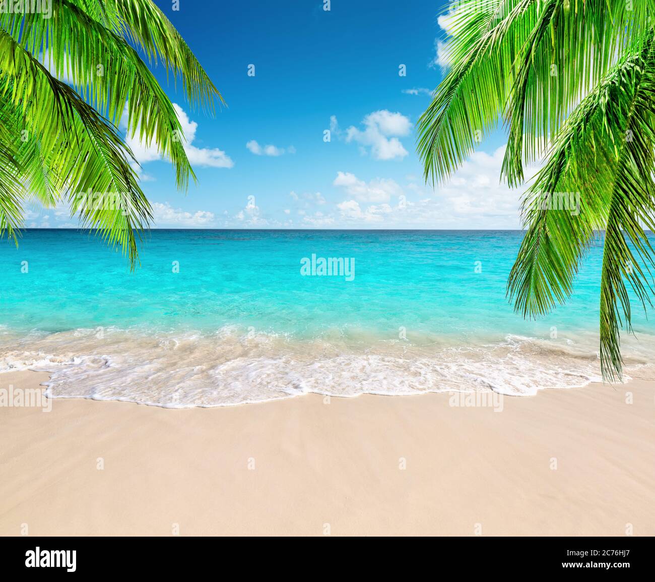 Palme da cocco contro il cielo blu e la bellissima spiaggia di Punta Cana, Repubblica Dominicana. Sfondo vacanze. Vista di un bel tropico Foto Stock