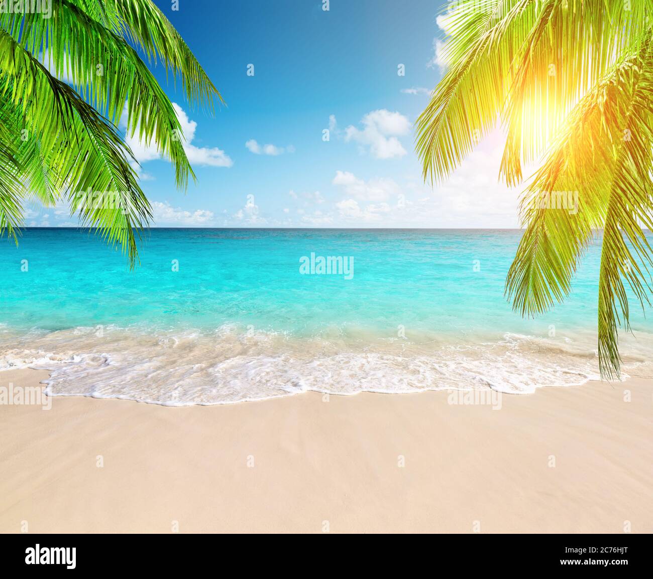Palme da cocco contro il cielo blu e la bellissima spiaggia di Punta Cana, Repubblica Dominicana. Sfondo vacanze. Vista di un bel tropico Foto Stock