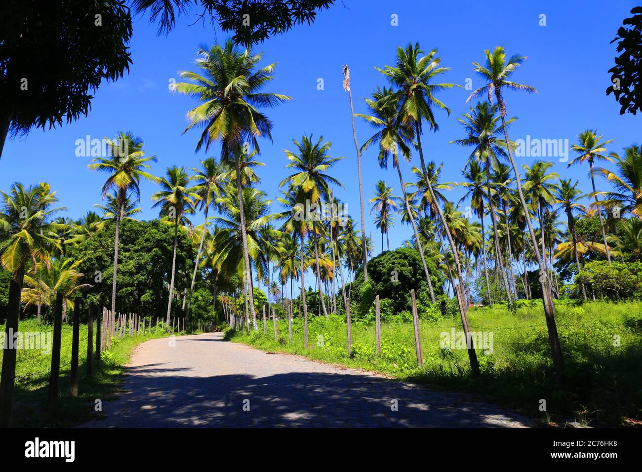 Zona rurale di Vila Velha, Itamaraca, Brasile Foto Stock