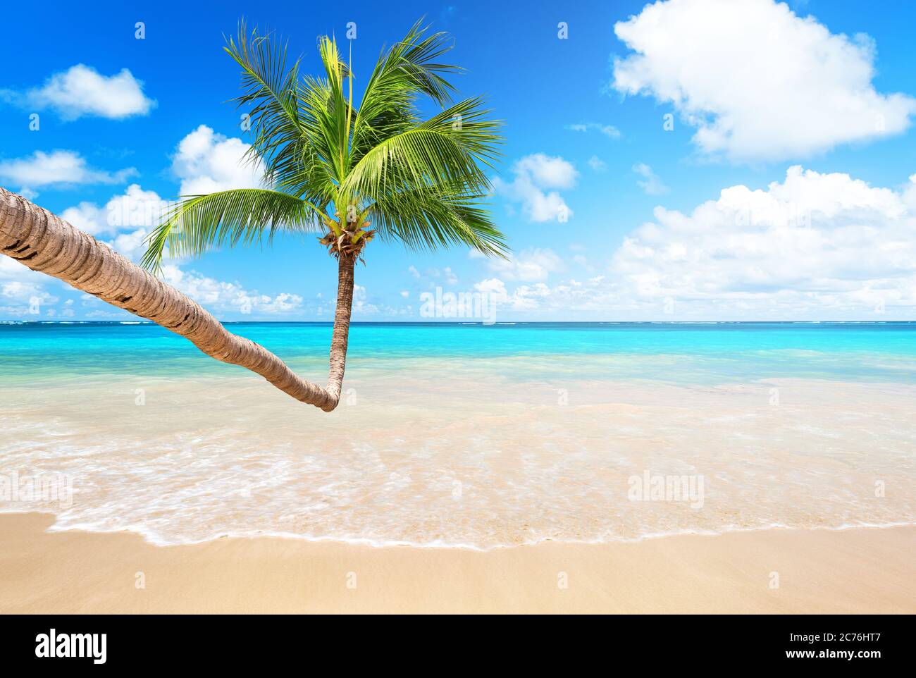 Palme da cocco contro il cielo blu e la bellissima spiaggia di Punta Cana, Repubblica Dominicana. Sfondo vacanze. Vista di un bel tropico Foto Stock
