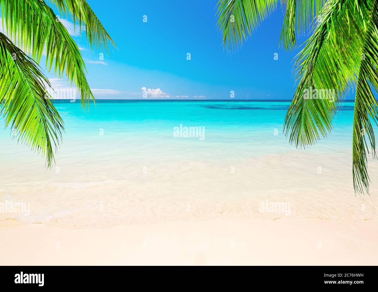 Palme da cocco contro il cielo blu e la bellissima spiaggia di Punta Cana, Repubblica Dominicana. Sfondo vacanze. Vista di un bel tropico Foto Stock