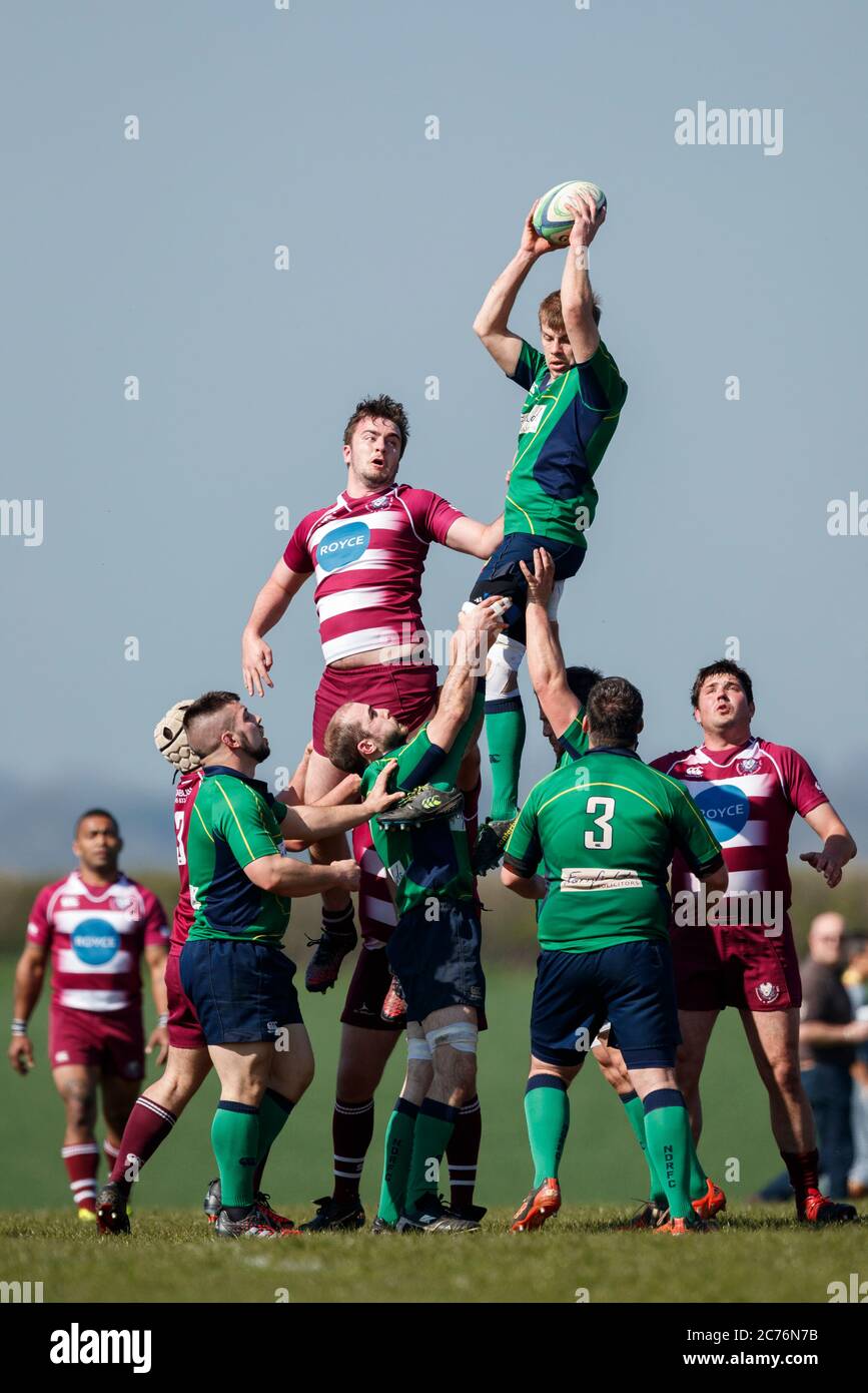 North Dorset RFC giocatore cattura palla in linea fuori. NDRFC 1st XV vs Swanage & Wareham RFC 1st XV, Sabato, 8, Aprile, 2017 - North Dorset RFC - Gillin Foto Stock