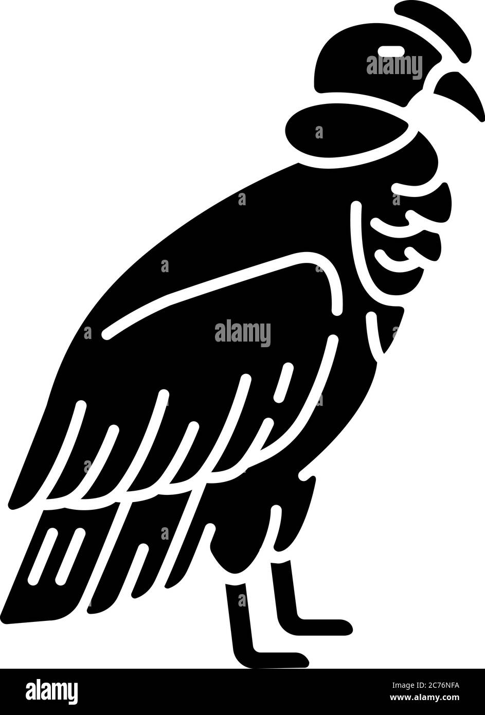 Icona glifo nero Condor. Grande uccello di con becco affilato e artigli. Avvoltoio del nuovo mondo, uccello predatorio. Zoologia, simbolo di silhouette ornitologica su bianco s. Illustrazione Vettoriale