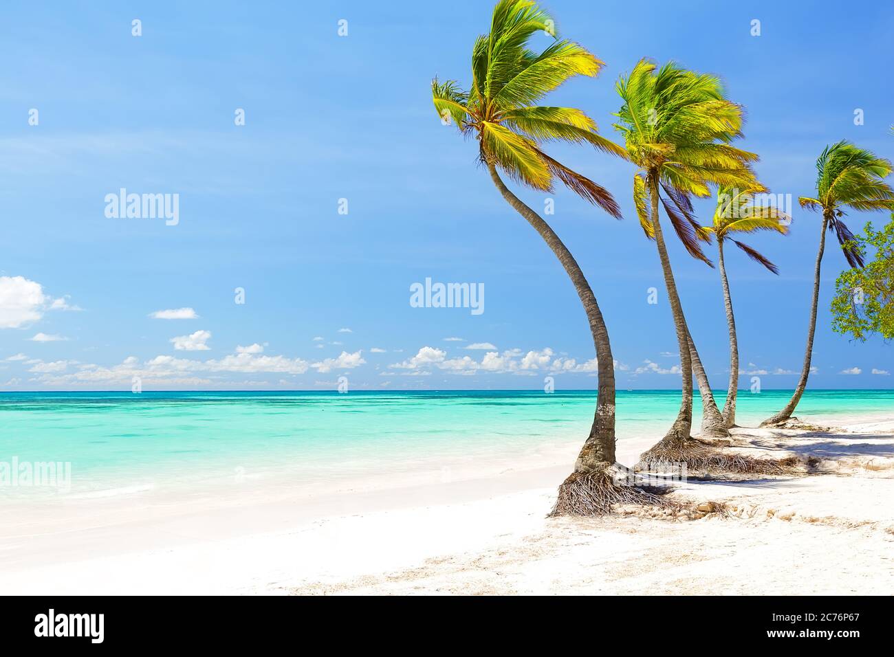 Palme da cocco sulla spiaggia di sabbia bianca a Cap Cana, Repubblica Dominicana Foto Stock