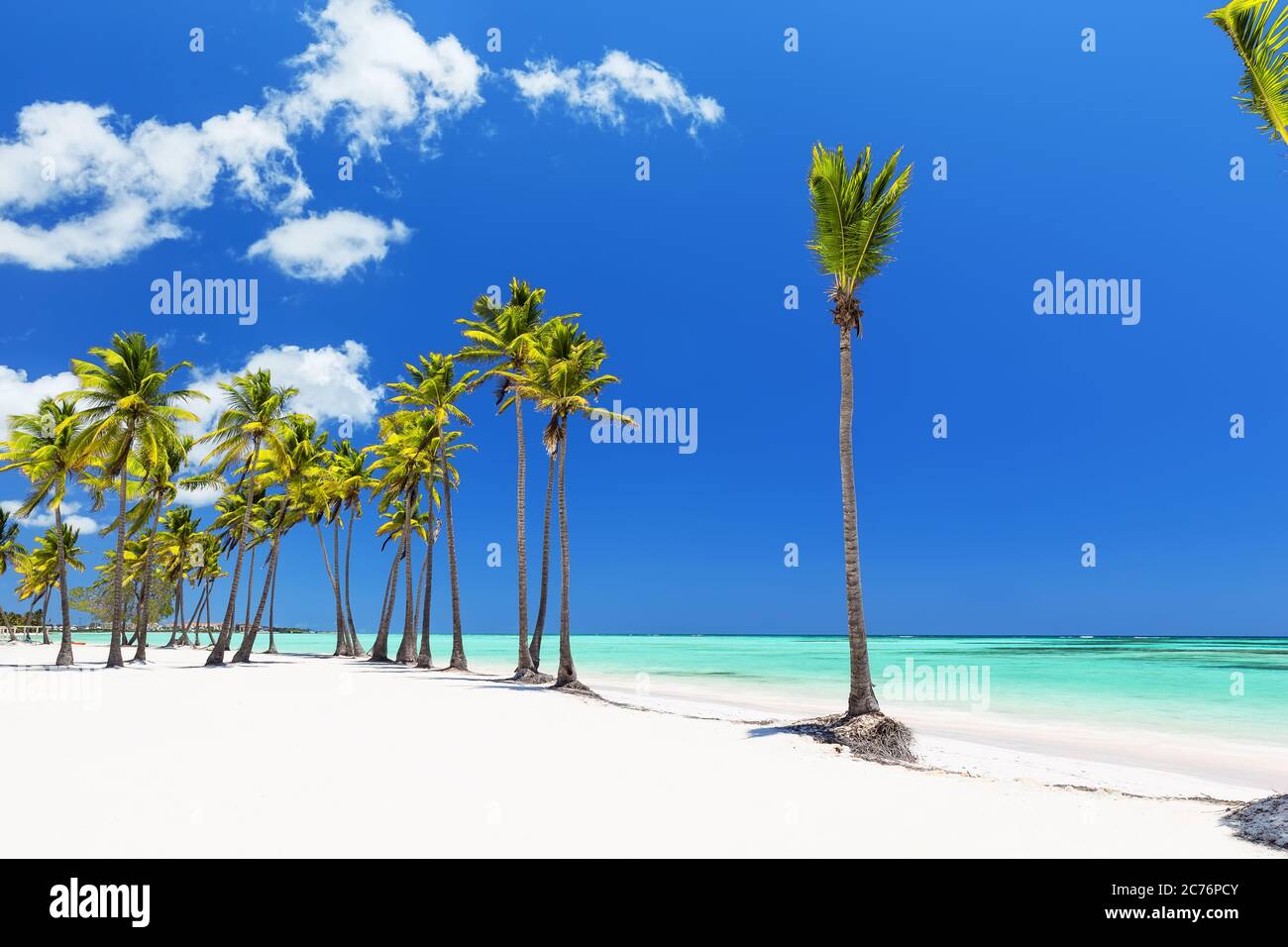 Palme da cocco sulla spiaggia di sabbia bianca di Punta Cana, Repubblica Dominicana Foto Stock