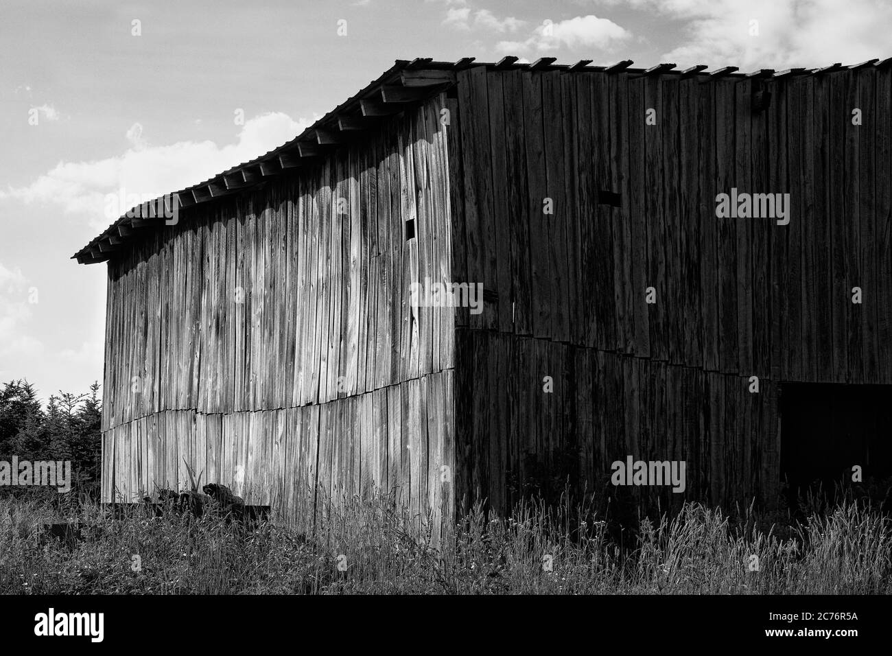 Vista monocromatica del vecchio fienile di legno sull'ex fattoria degli alberi di Natale. Foto Stock