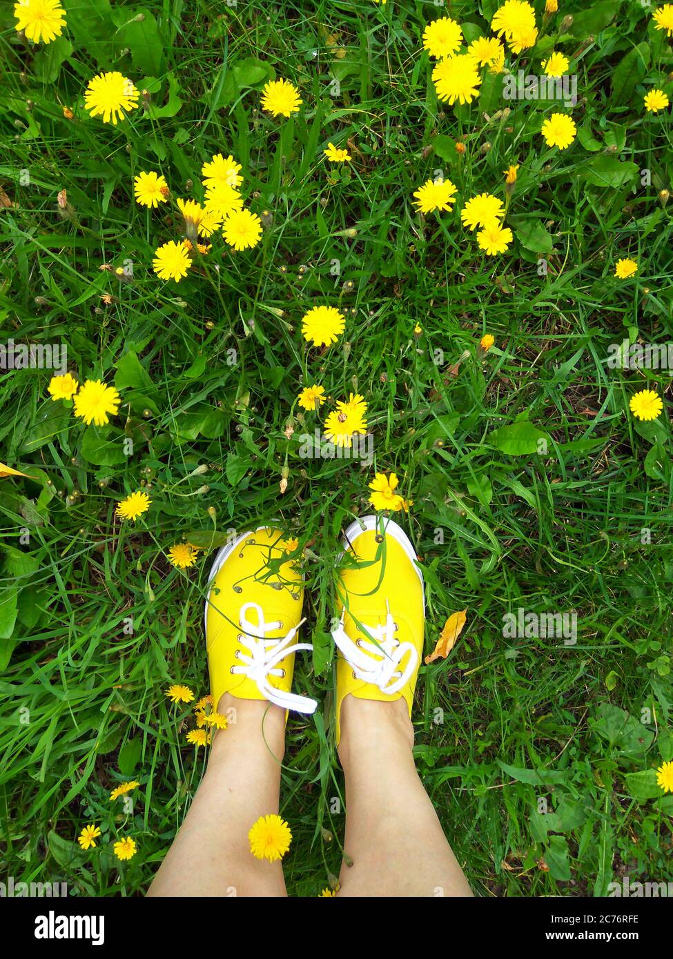 Sneakers gialli in erba con fiori gialli, la foto è stata scattata al telefono quando sono andato per una passeggiata, top-down delle gambe. Foto Stock