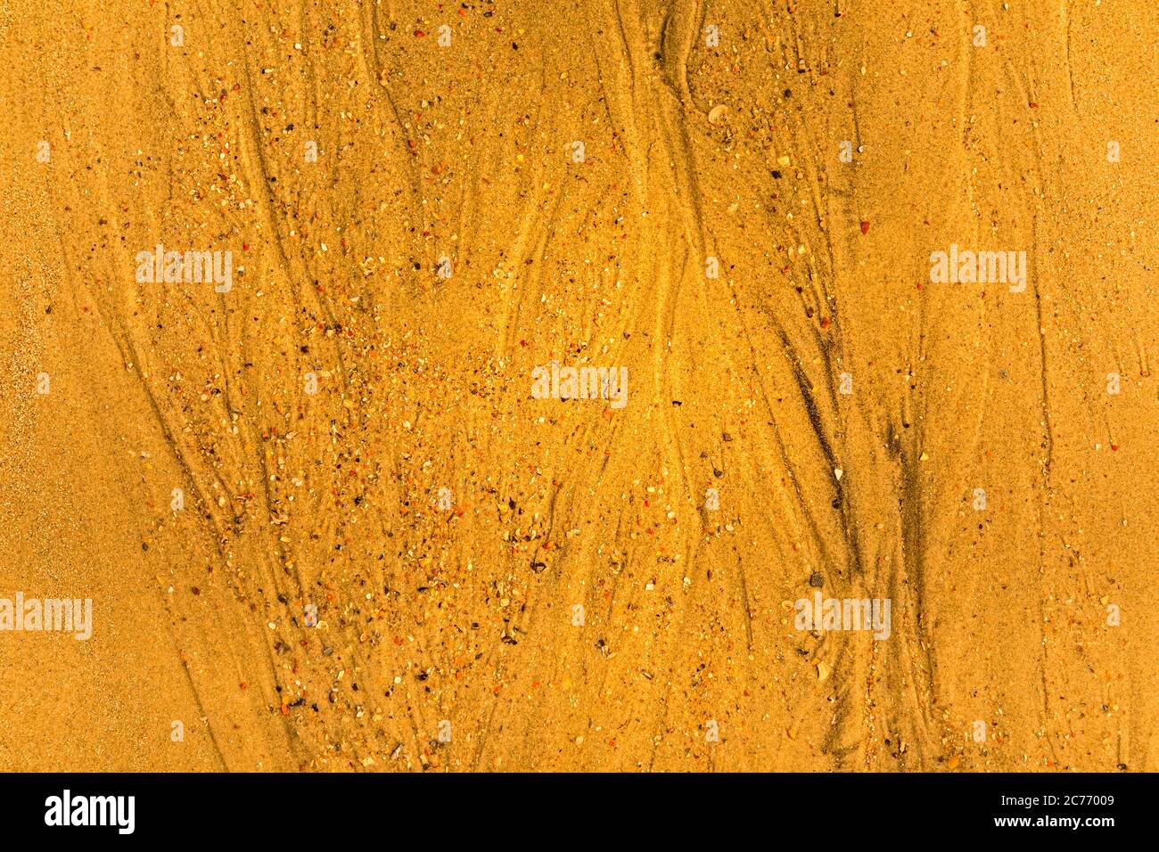 Close-up di sabbia con modi di marea e conchiglie sulla spiaggia, piena di tessitura del telaio Foto Stock
