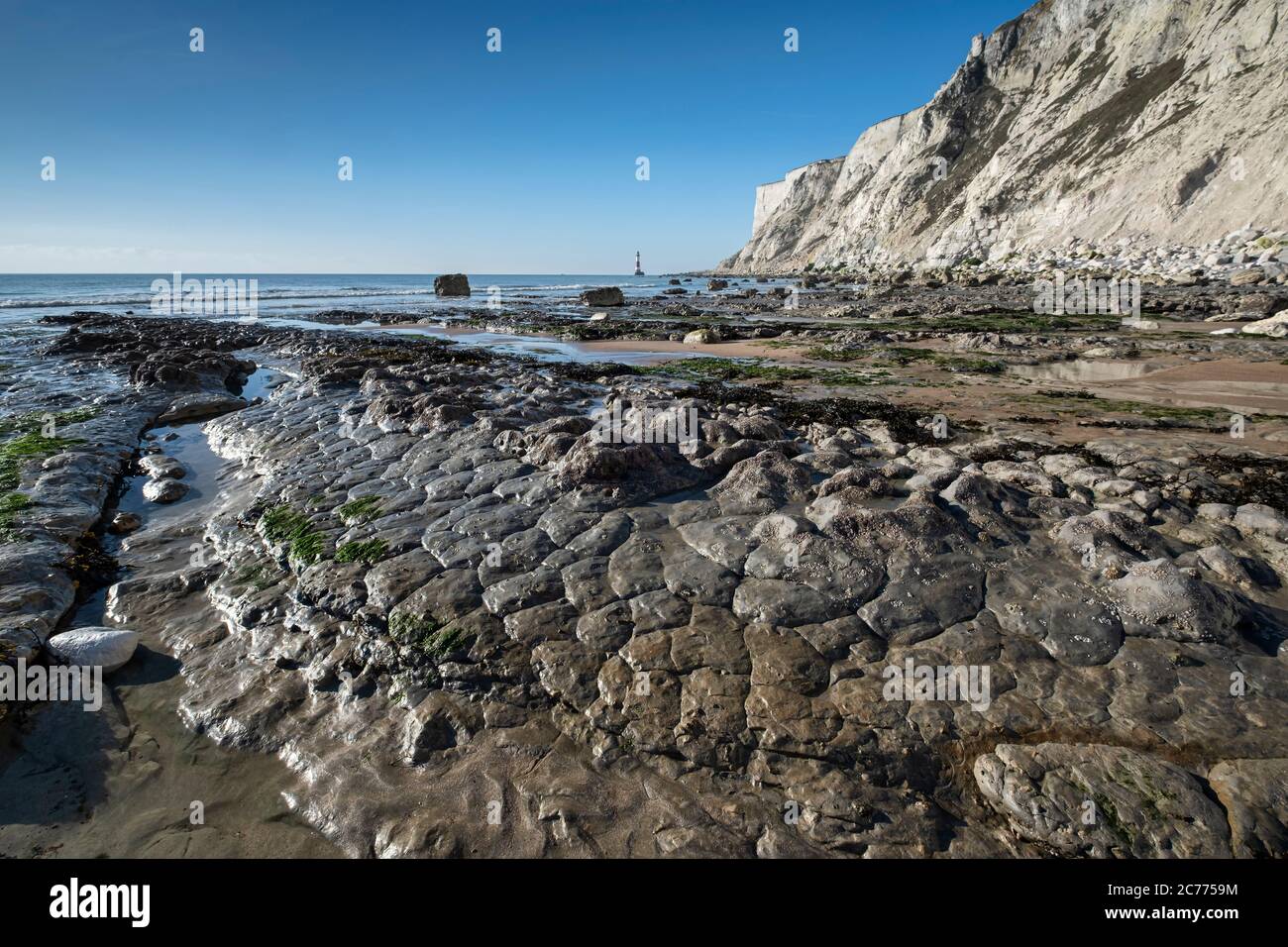 Wave Cut Platform & Beachy Head Lighthouse, sotto Beachy Head White Chalk Cliffs, Beachy Head, vicino Eastbourne, South Downs National Park, East Sussex Foto Stock