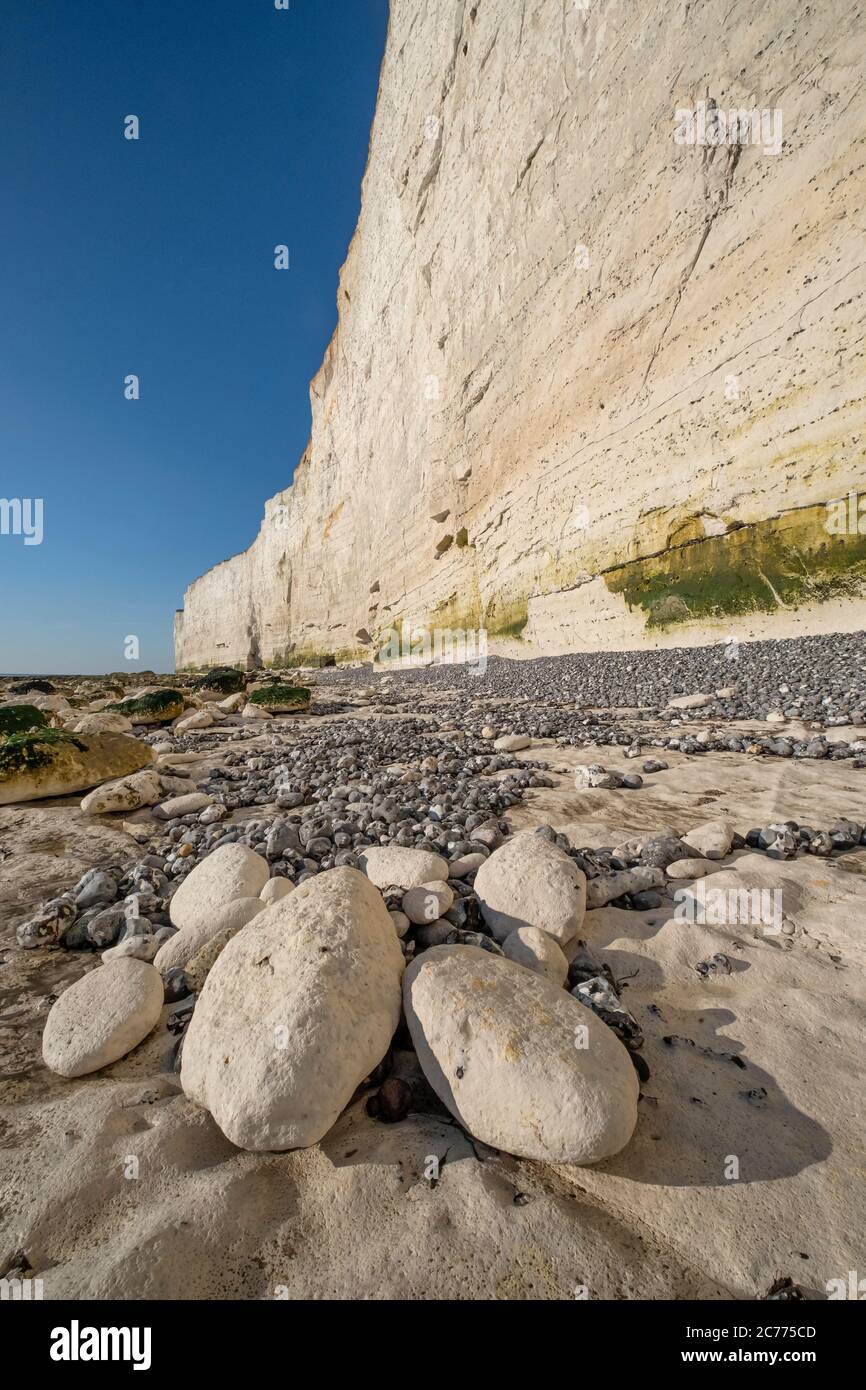 Chalk Boulders sotto Beachy Head Cliffs, vicino a Eastbourne, South Downs National Park, East Sussex, Inghilterra, Regno Unito Foto Stock