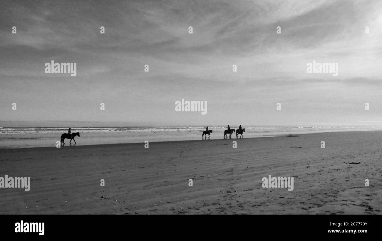 Passeggiate a cavallo lungo la spiaggia di Otaki, nuova Zelanda Foto Stock
