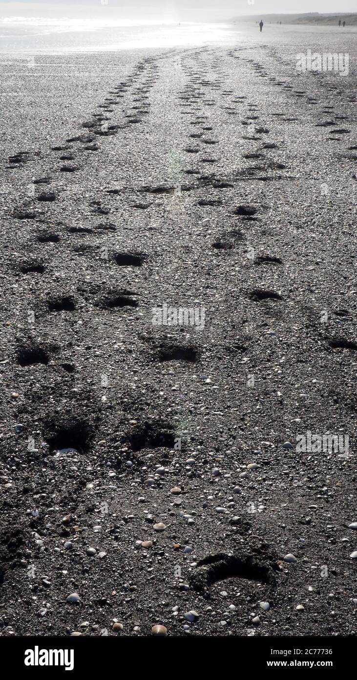 Alla spiaggia di te Horo nella Nuova Zelanda, i cavalli hanno appena camminato lasciando segni di scarpe nella sabbia grossolana Foto Stock