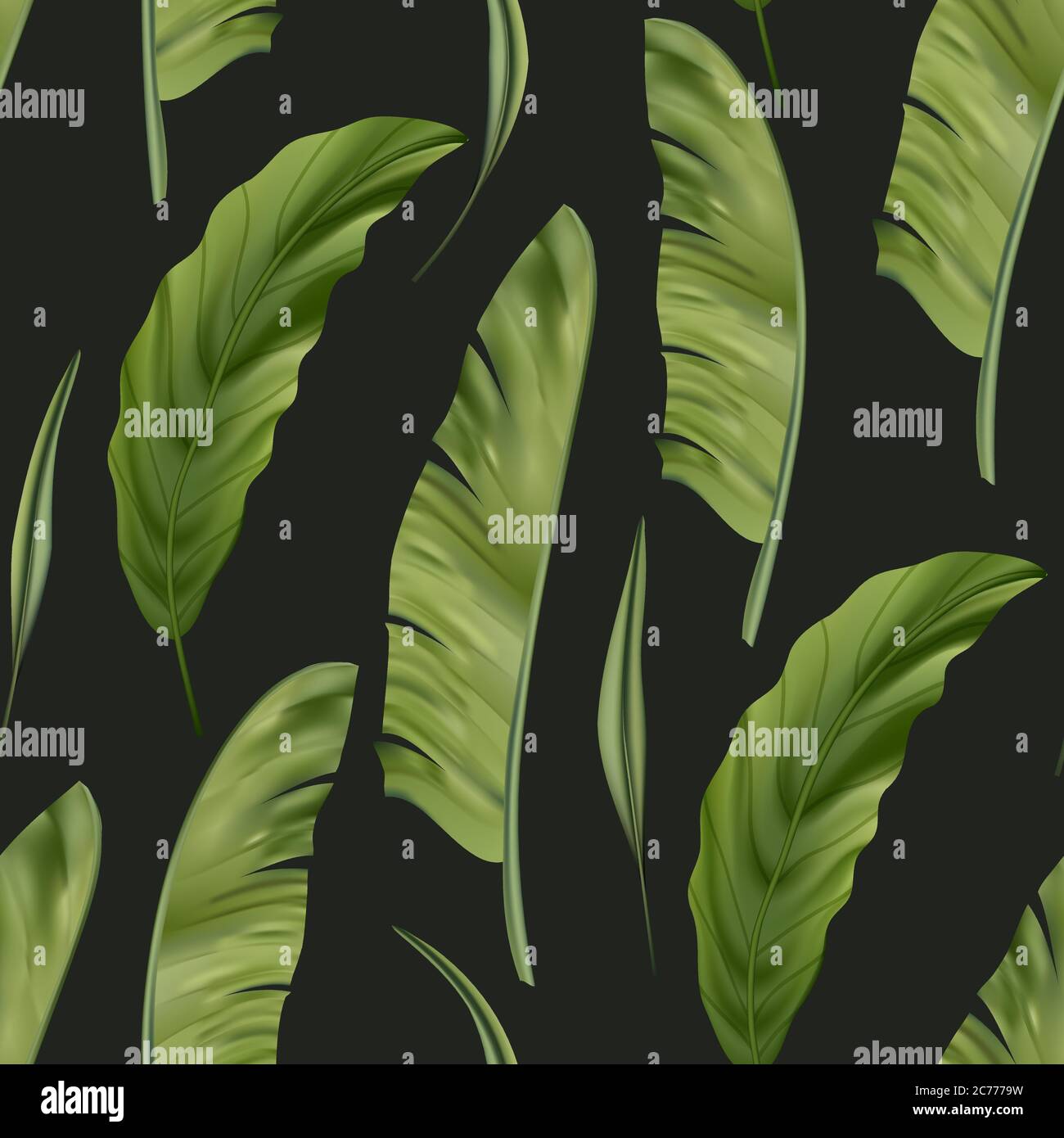 Colori tropicali realistici foglie di banana vettore senza cuciture modello. Giungla botanico sfondo estivo. Carta da parati verde esotico. Illustrazione Vettoriale